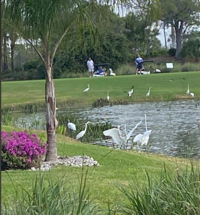 9241 Spring Run Blvd, Unit 2206, Estero, FL 34135 Photo