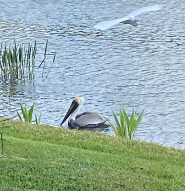 9241 Spring Run Blvd, Unit 2206, Estero, FL 34135 Photo