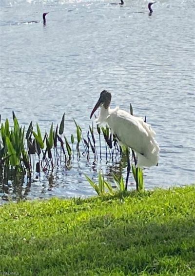 9241 Spring Run Blvd, Unit 2206, Estero, FL 34135 Photo