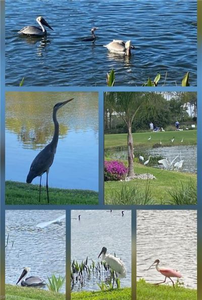 9241 Spring Run Blvd, Unit 2206, Estero, FL 34135 Photo