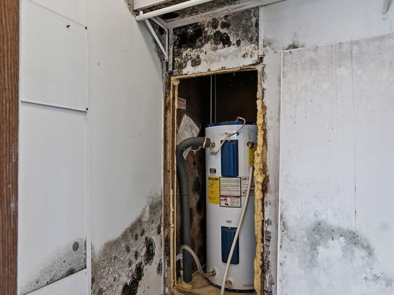 7016 Pine Trail, Paint Twp, OH 45133 Photo 31