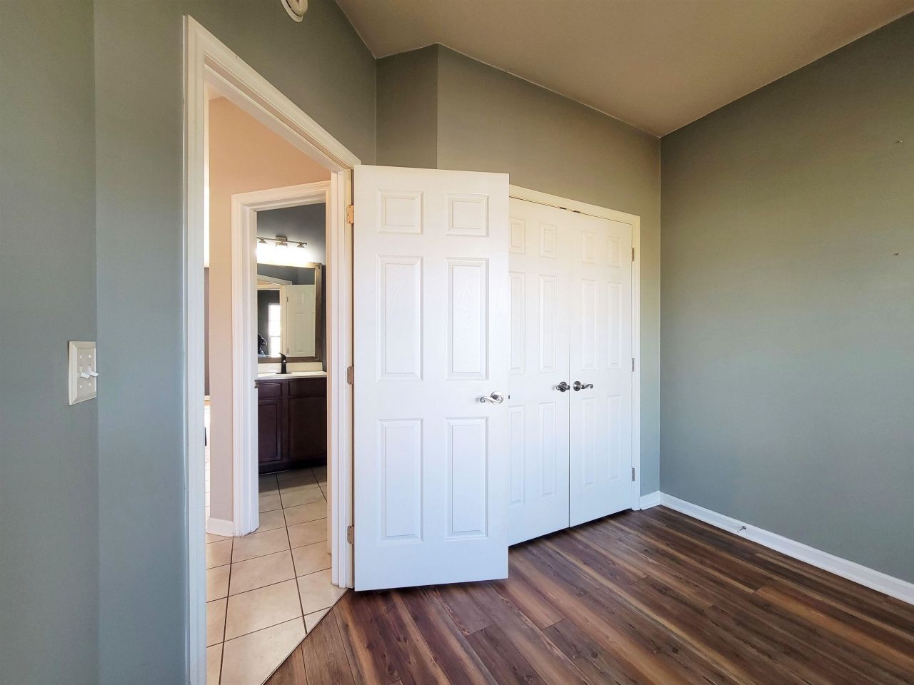 407 Big Woods Ct. Photo 15