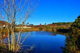 407 Big Woods Ct. photo 4