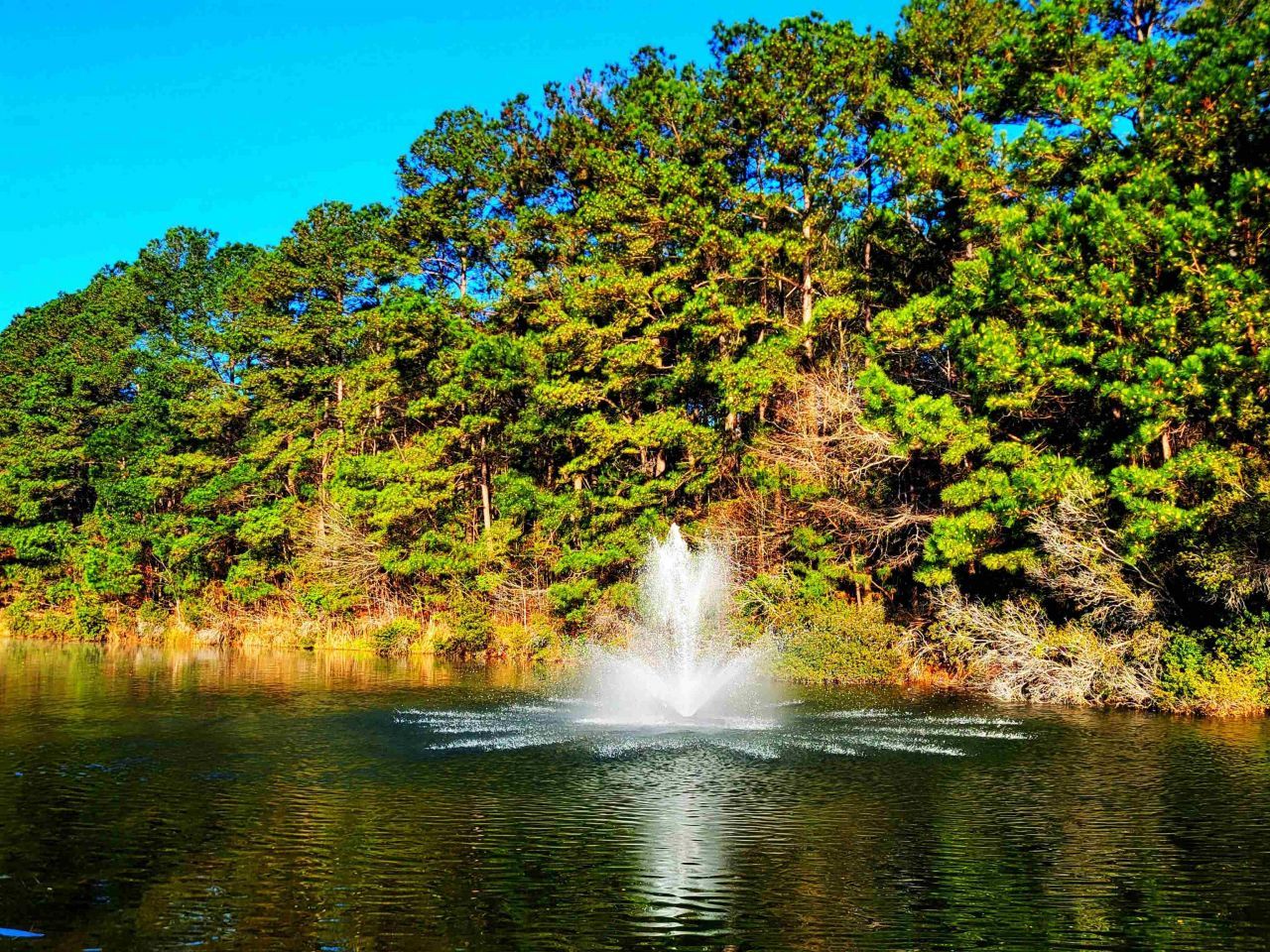 407 Big Woods Ct. Photo 30