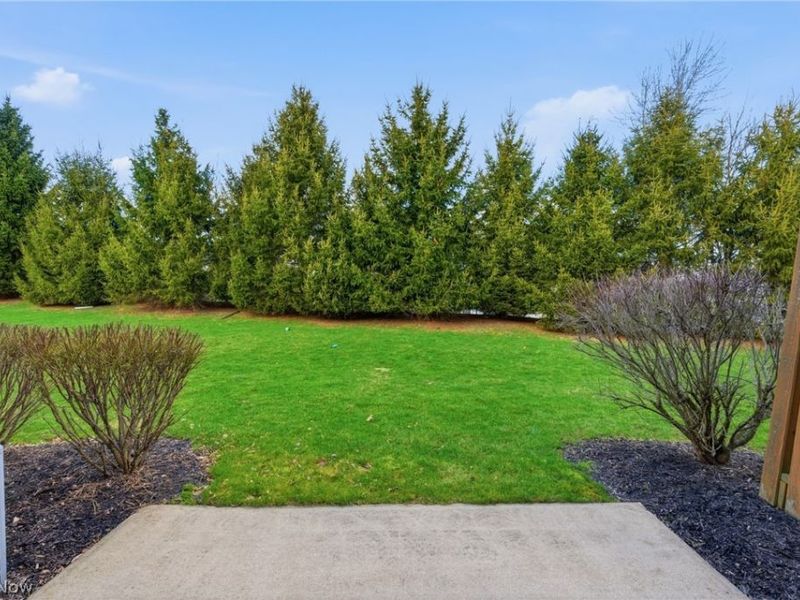 1101 Meadow Run, Copley, OH 44321 Photo 15