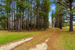 1258 Knotty Branch Rd. photo 4