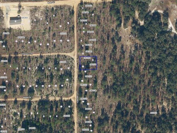 0 CYPRESS Trail, Interlachen, FL 32148