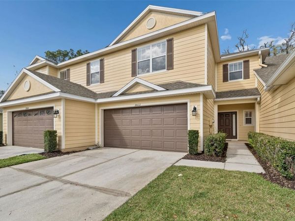 20112 INDIAN ROSEWOOD DRIVE, TAMPA, FL 33647