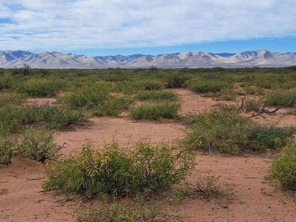 TBD Drifters Way, Unit POR, McNeal, AZ 85617