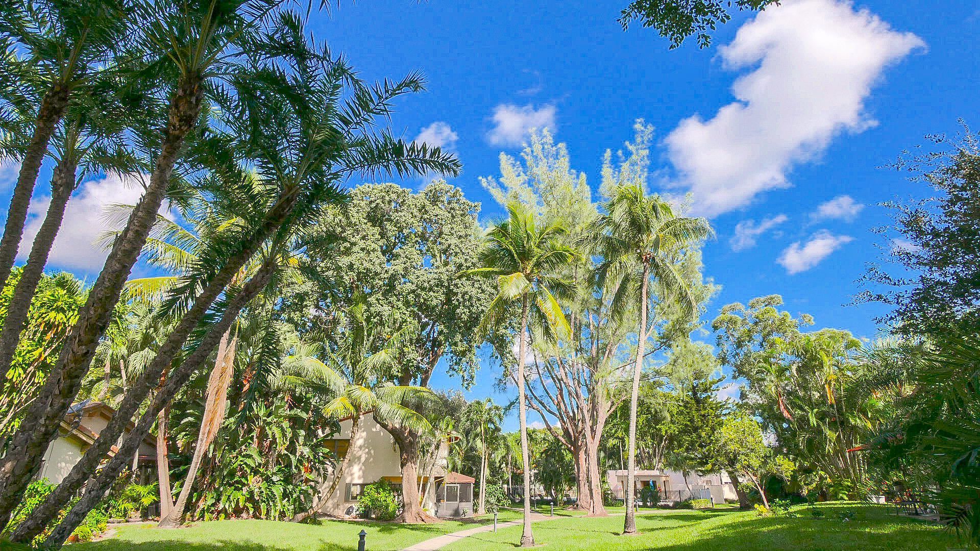 5535 Constant Spring Terrace, Unit 216, Lauderhill, FL 33319 Photo