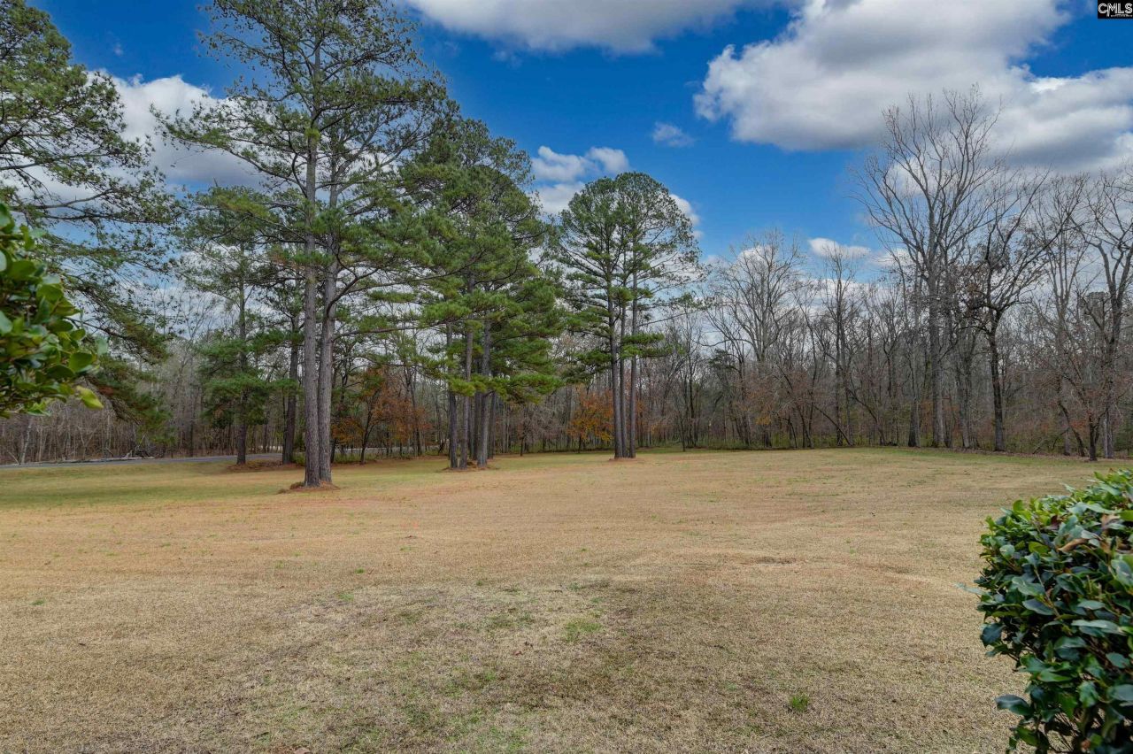 1141 Old Brickyard Road Photo 74