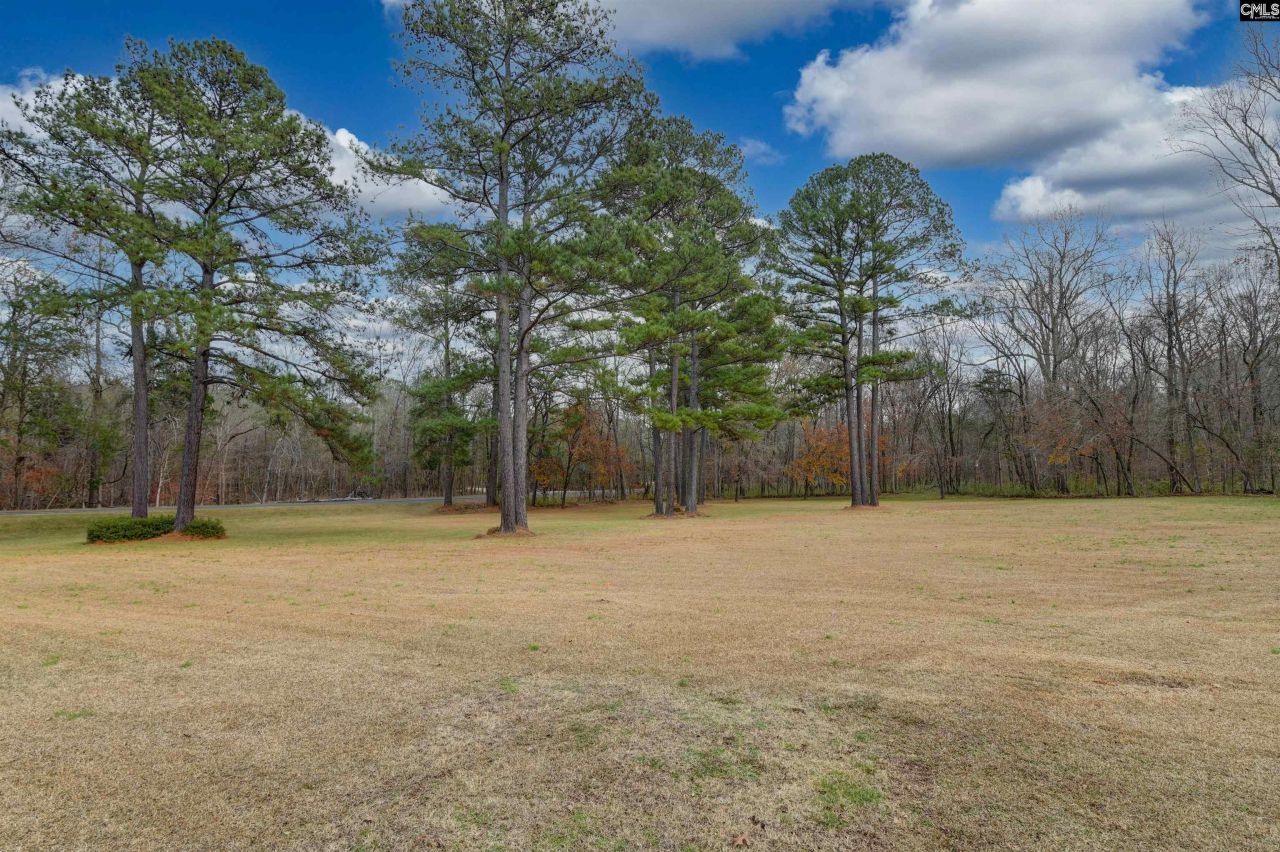 1141 Old Brickyard Road Photo 75