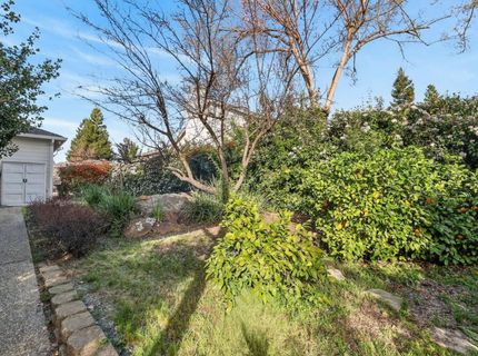 10010 Snowy Owl Way, Auburn, CA 95603 Photo