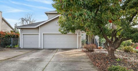 10010 Snowy Owl Way, Auburn, CA 95603 Photo