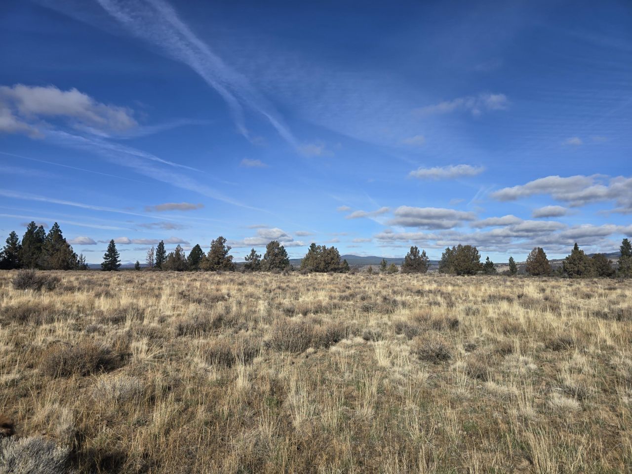 Tableland Road, Sprague River, OR 97639 Main Photo
