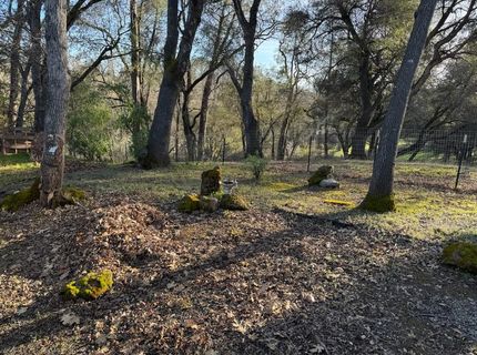 4420 Pleasant Valley Rd #130, Diamond Springs, CA 95619 Photo