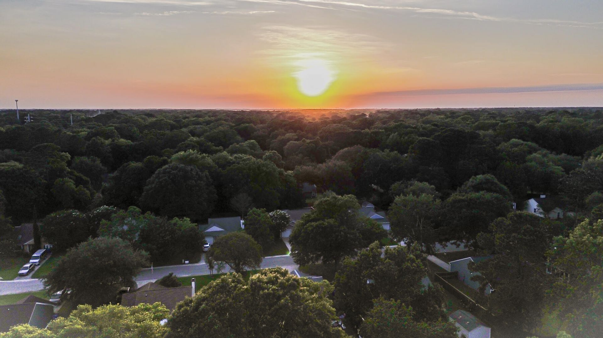 1135 Bellwood Road Photo 4