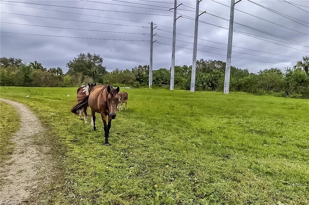 26118 Cutting Horse Ln, Bonita Springs, FL 34135 Photo
