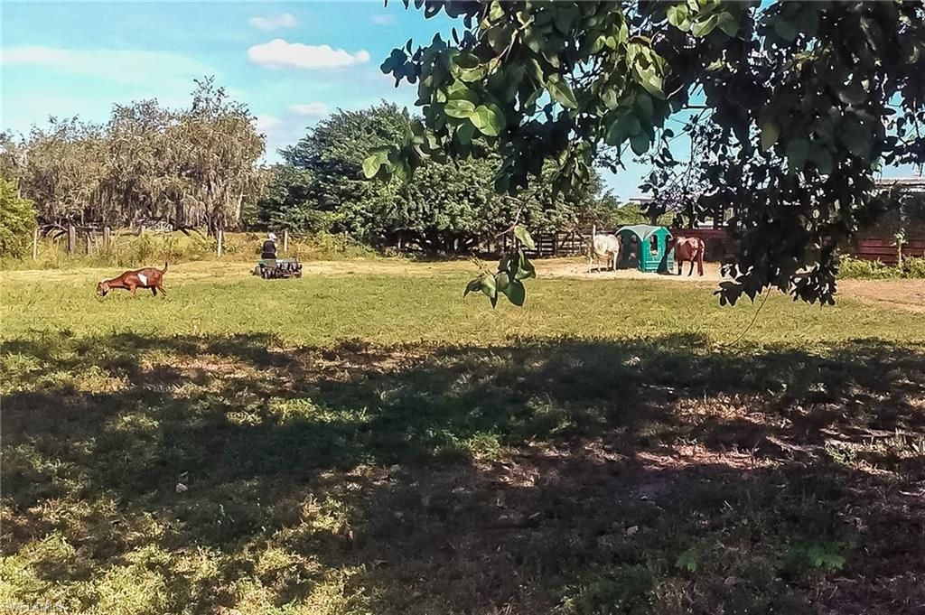 26118 Cutting Horse Ln, Bonita Springs, FL 34135 Photo