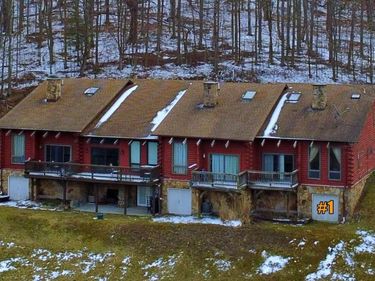 1 Twin Greens, Snowshoe, WV 26209
