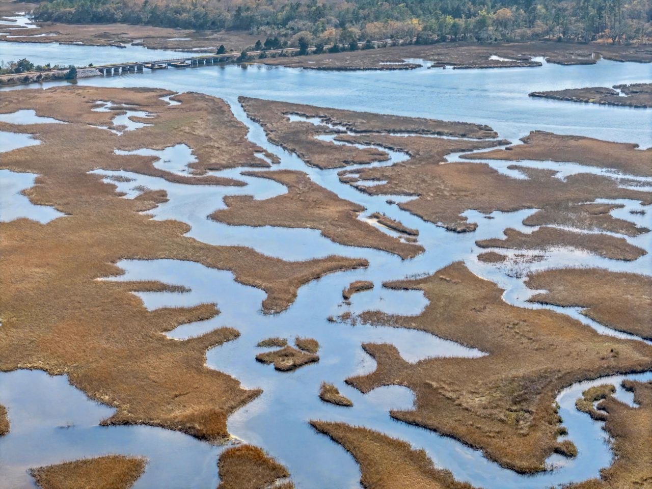 3925 James Bay Road Photo 53