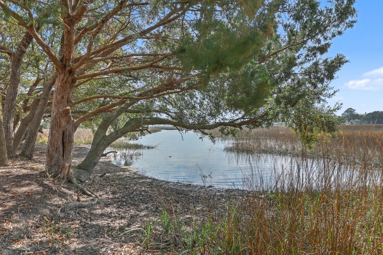 3925 James Bay Road Photo 6