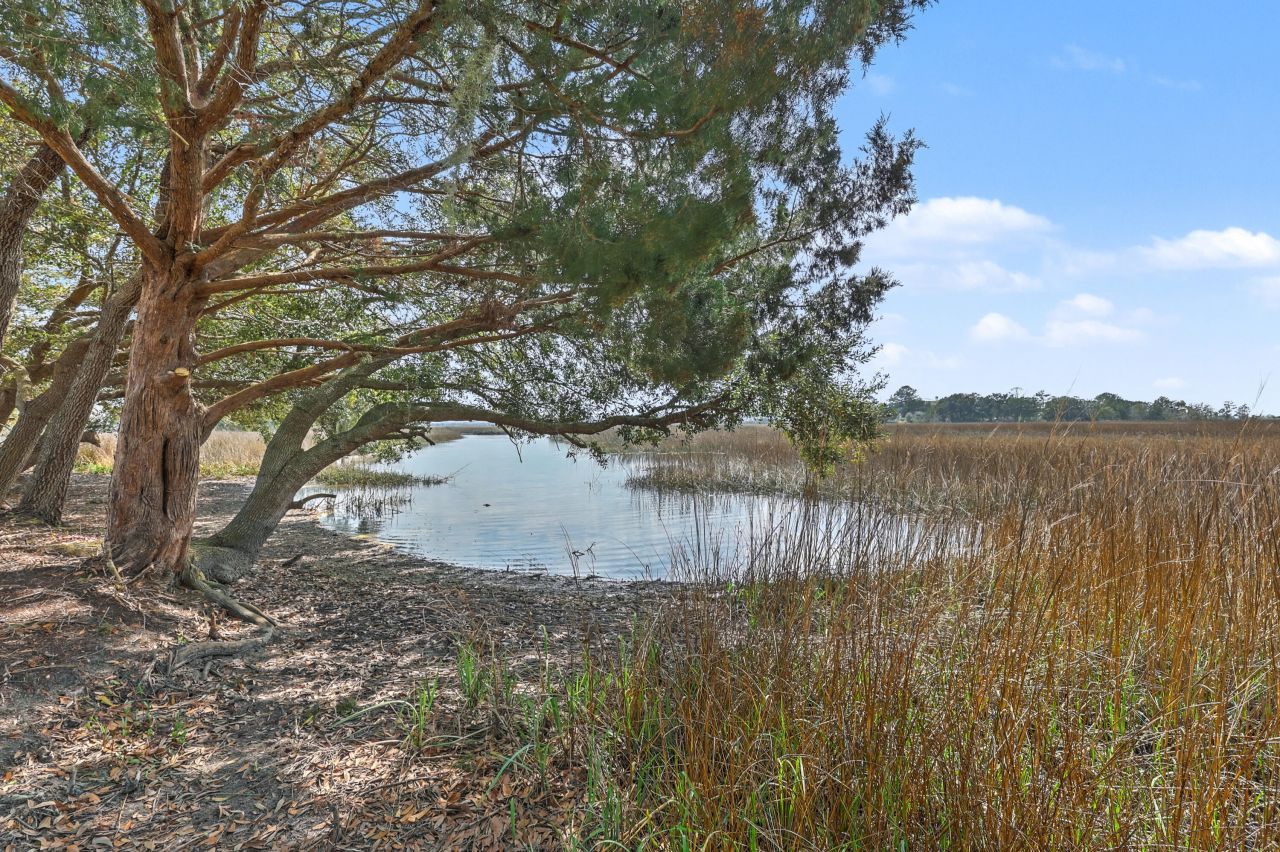 3925 James Bay Road Photo 9