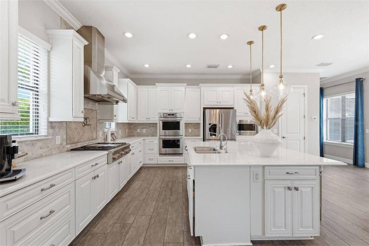 1501 Amarone Place, Lutz, FL 33548 Photo