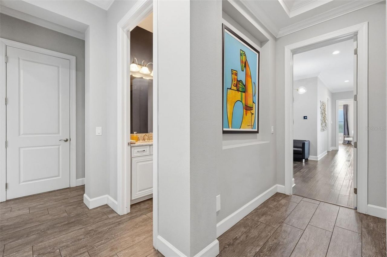 1501 Amarone Place, Lutz, FL 33548 Photo