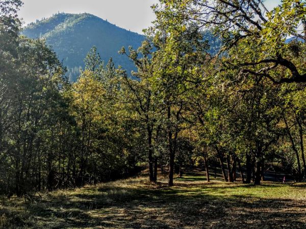 0 N Sixth Avenue, Unit TL 903, Gold Hill, OR 97525