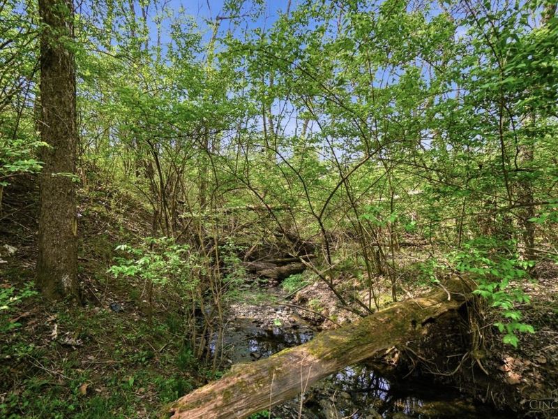 23 Mallard Drive, Amelia, OH 45102 Photo 50