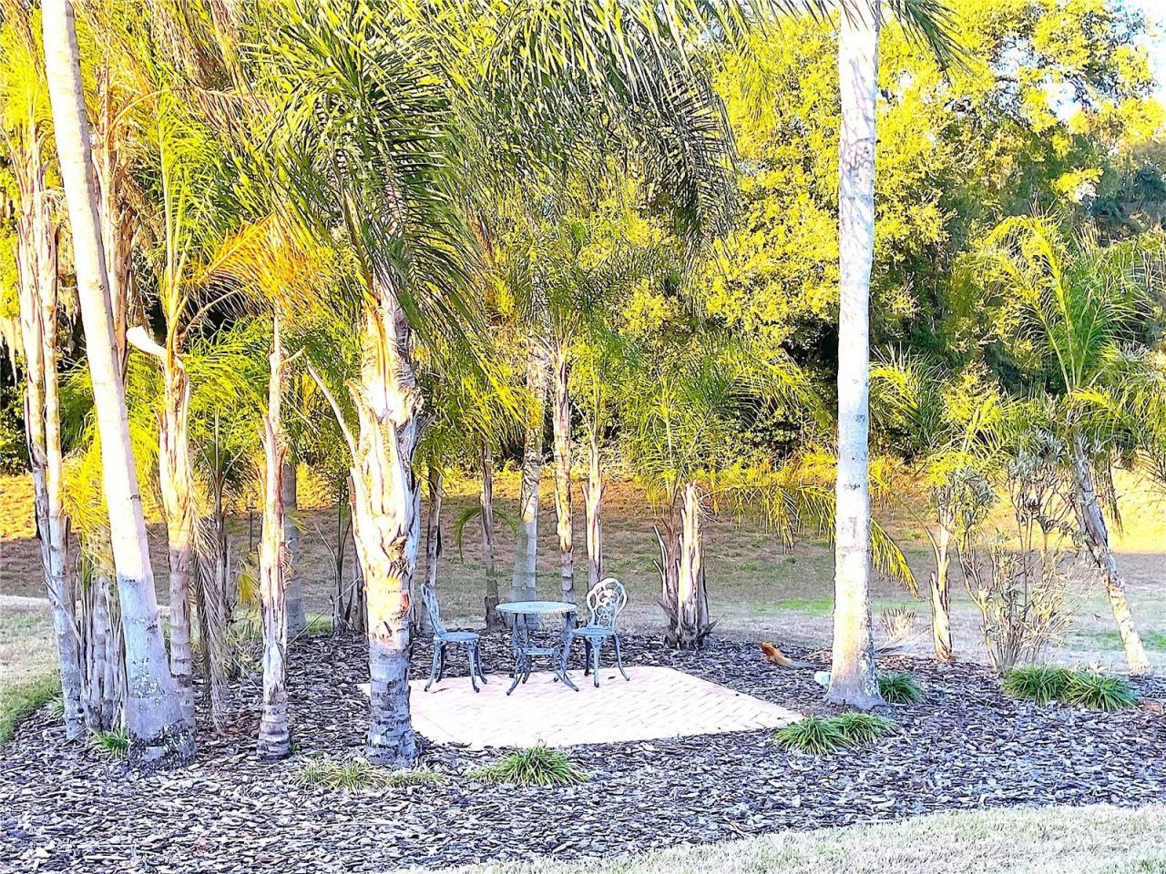 2560 Highlands Vue Parkway, Lakeland, FL 33812 Photo