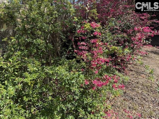 34 Founders Lake Court  Photo 32