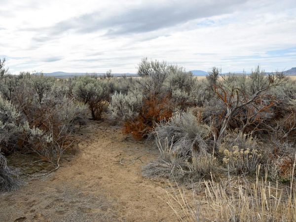 Willa Road, Unit 3, Christmas Valley, OR 97641