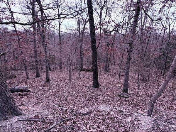 Lot 12 & 13 Hoyer Lane , Bella Vista, AR 72714