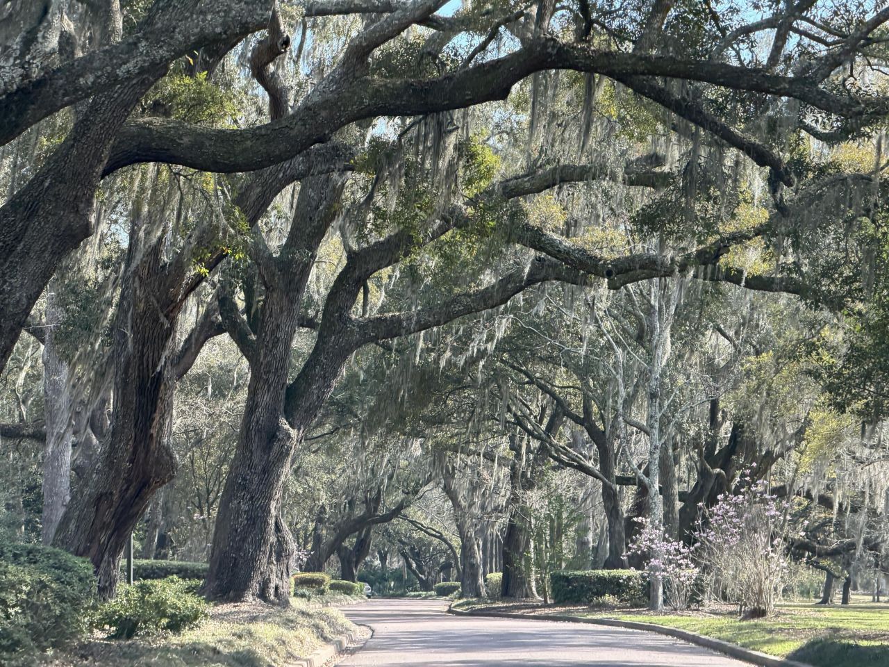 1128 Windsome Place Photo 51