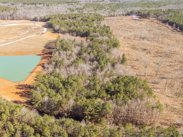 00 KENDRICK & HAMBURG RD, Michie, TN 38357