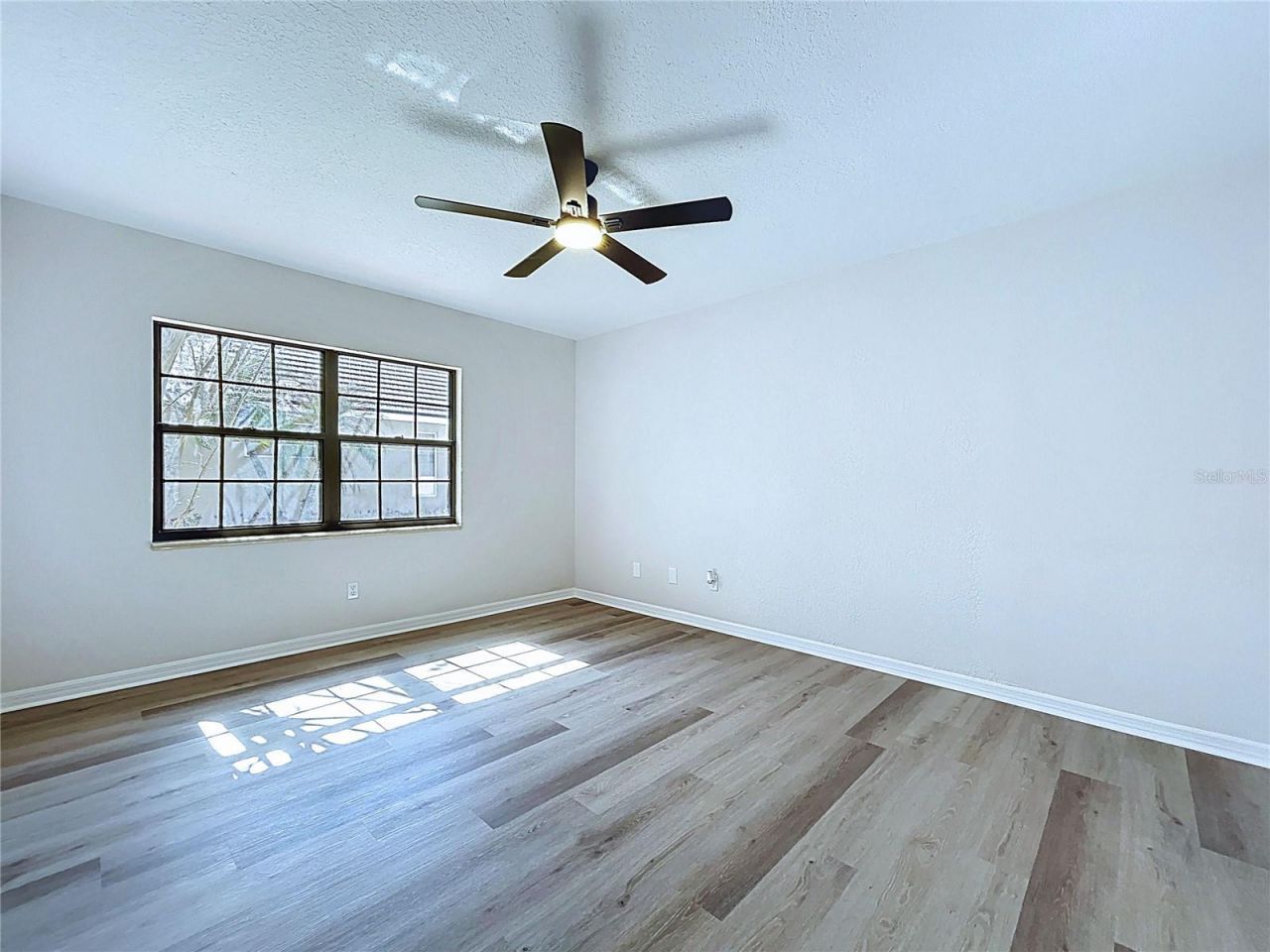 2881 Hammock Drive, Plant City, FL 33566 Photo