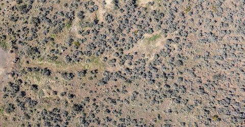 4385 Eastlake Boulevard, Washoe Valley, NV 89704 Photo