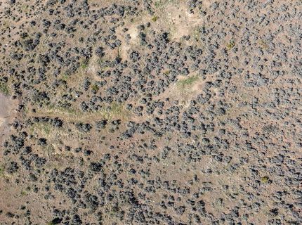 4385 Eastlake Boulevard, Washoe Valley, NV 89704 Photo