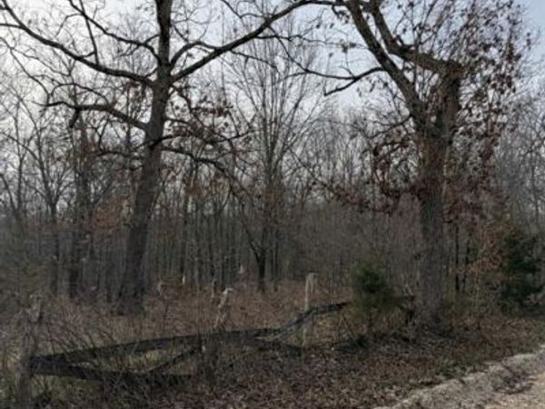 0 Gobblers Knob Road , Unincorporated, MO 65565