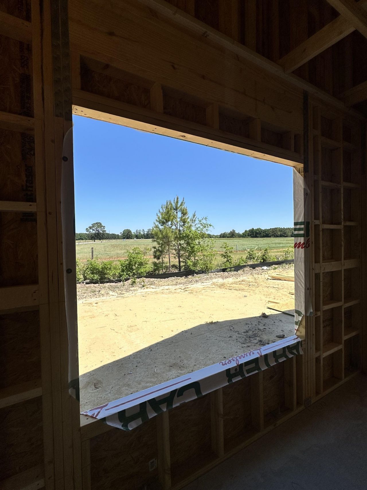 905 Ash St. Photo 10