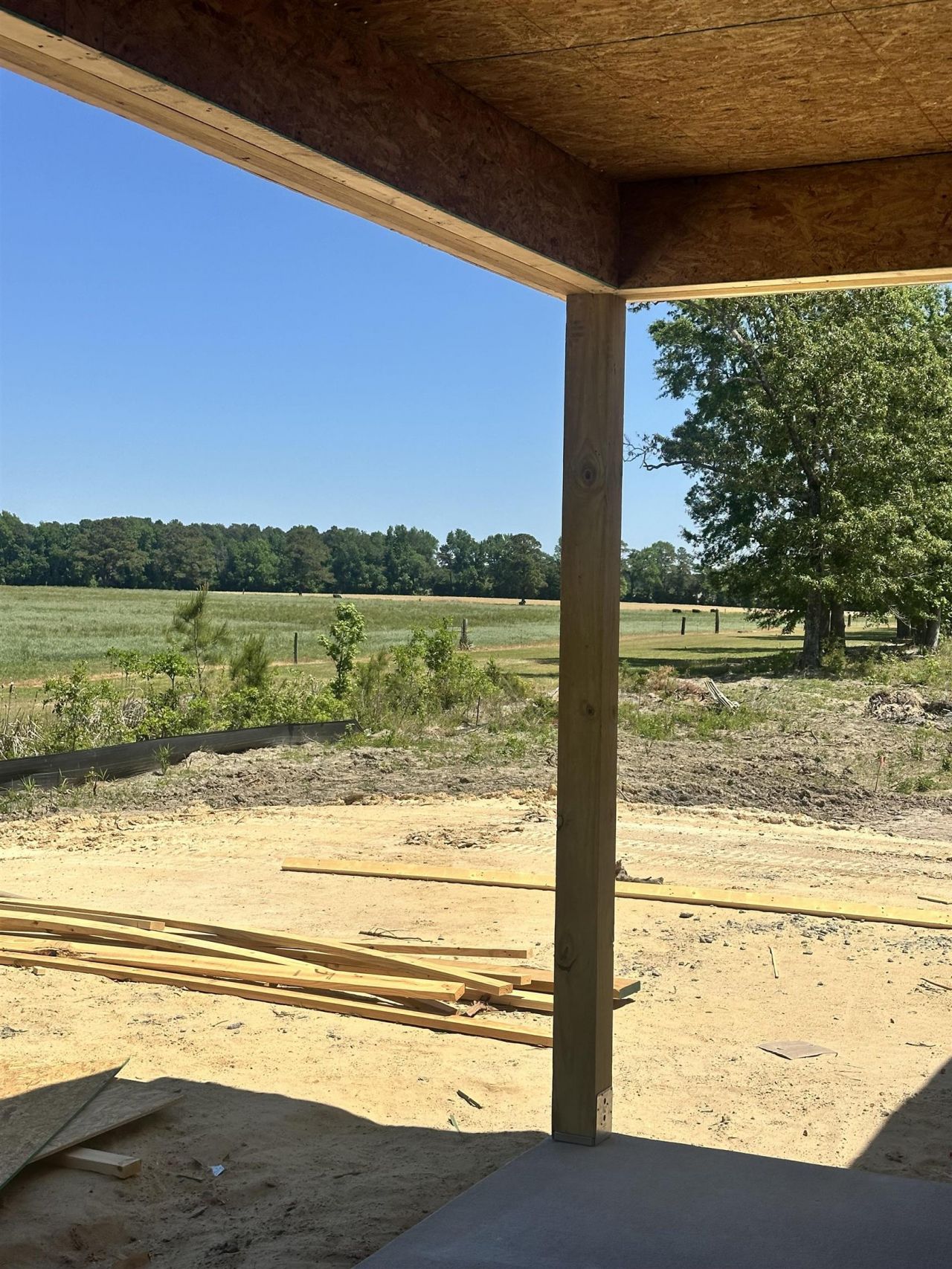 905 Ash St. Photo 11