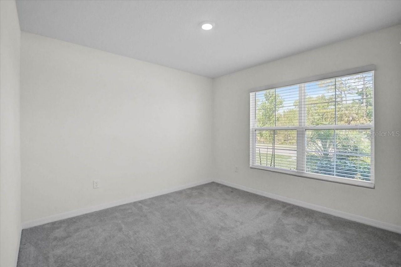 17319 Wheatberry Boulevard, Parrish, FL 34219 Photo