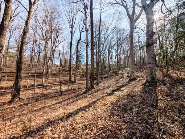 Lot 74 Plantation Drive, MONTROSS, VA 22580