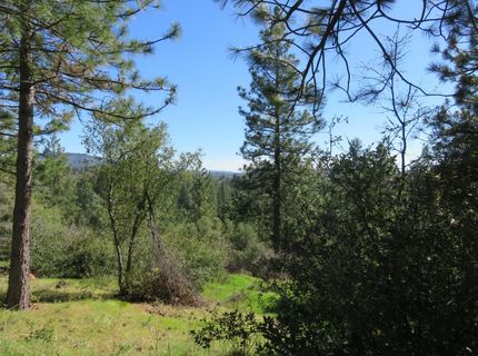 201 Sierra Madre Rd, Rail Road Flat, CA 95248 Photo