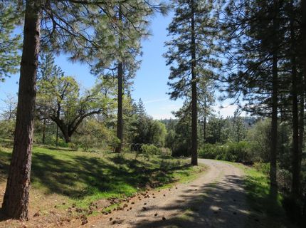 201 Sierra Madre Rd, Rail Road Flat, CA 95248 Photo