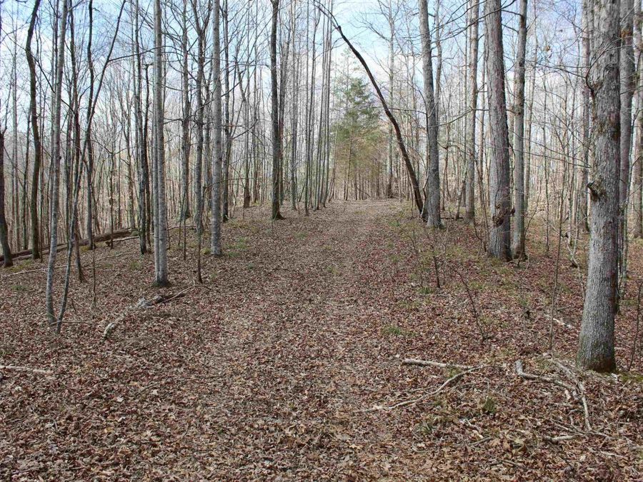 Property Image 6
