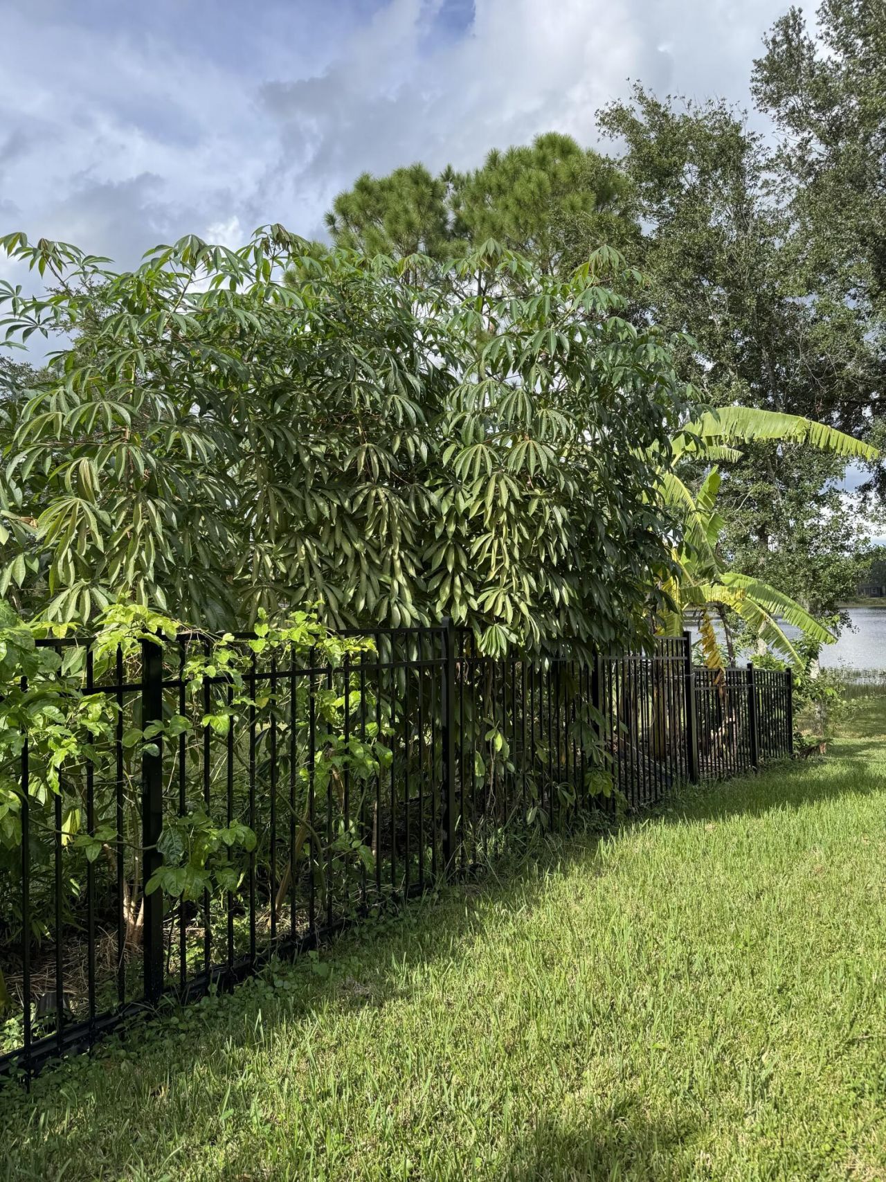 2793 NW 95th Avenue, Coral Springs, FL 33065 Photo