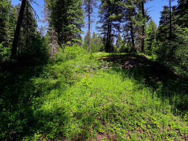 14 ElK Rd, Newport, WA 99156